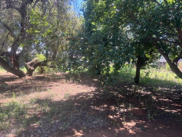 3 Bedroom Property for Sale in Wolmaransstad North West